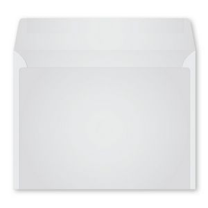 Monthly Monitor Envelope